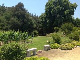 Escapes — Blu Aubergine Blog — blu aubergine