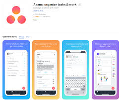 Windows vista, mac os, web browser (os agnostic), windows 10. Asana Vs Trello Vs Todoist Which Is The Best Pressidium Managed Wordpress Hosting