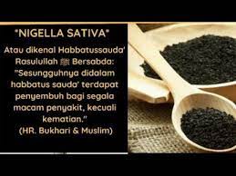 Maybe you would like to learn more about one of these? Habbatus Sauda Cara Pengambilan Pemakanan Sunnah Rasulullah Saw Ustadz Khalid Z A Basalamah Youtube