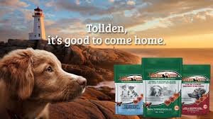 339 churchill ave n, ottawa, on k1z 5b8, kanada adress. Tollden Farms Natural Pet Nutrition Home Facebook