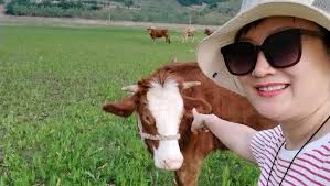 侯总集图- 抖音