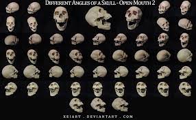 Different Angles Of A Skull Open Mouth Redone Skull Open Mouth Skull Skull Reference