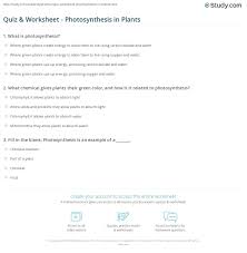 All lessons have a powerpoint with embedded video clip links, illustrated student guided notes, teacher notes, and worksheet with answers. Quiz Worksheet Photosynthesis In Plants Study Com
