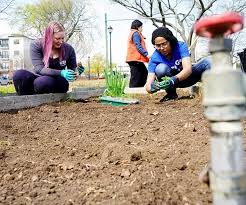 Cultivating Relationships Through Gardening