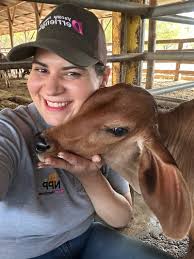 Cesar Augusto Guillen Guillen