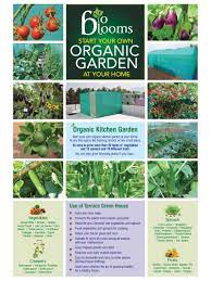 Organic Kitchen Garden With Growing Kit Bio Blooms Agro India Pvt Ltd Is The Manufacturer And Supplier Of Organ Kitchen Garden Garden Services Terrace Garden