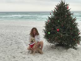 Check spelling or type a new query. Every Dog Has His Day On 30a Travel Tails