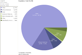 world population by race pie chart best picture of chart