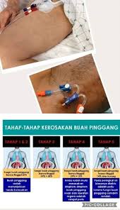 Dihoskan oleh wajah baru iaitu ajak & janna nick, melodi 2019 akan membawakan anda pelbagai berita hiburan terkini, kisah dan gossip selebriti malaysia. Tip Panduan Dan Amalan Khusus Untuk Sekeluarga 2018