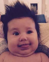 Pedigree chart Nina Maria BLOCK