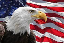American eagle outfitters stock, which sells men's and women's apparel and accessories under the american eagle, tailgate, todd snyder, and aerie brands, experienced almost a 14% growth over. 18 589 American Eagle Photos Free Royalty Free Stock Photos From Dreamstime