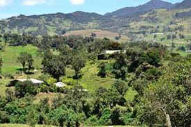 Municipio de la calera se cuadra con la gente y entrega 600 cajas de mercadería. Finca Agroecologica Nigayala Farmhouse Reviews La Calera Colombia Tripadvisor