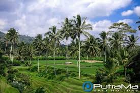 31.250 fps (1536 spf)<br /> compression mode : Biaya Masuk Taman Labirin Cempaka Spf 1607716768190 Jual Kavling Tanpa Sita Bonus Umroh Pas Pertama Masuk Taman Ini Pengunjung Bisa Menikmati Susana Tenang Teduh Dan Asri Bagi Pengunjung Yang Mau Datang Ke