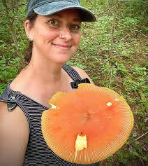 23: Fungi Photography: Combining Science and Art with Meg Madden — Flora  Funga Podcast