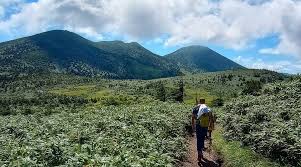 Image result for Hakkoda Walk