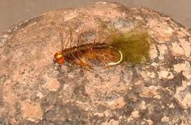 Pin On Damsel Dragon And Helgrammite Nymphs And Dries