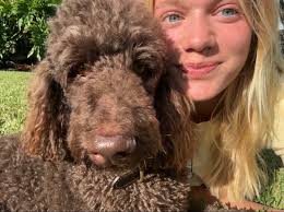 Good morning neighbors, I am currently accepting new clients for weekly dog  walks! Multiple dogs, strong pullers, special needs and high energy pups  all welcomed! I provide 20-30-60 min walks 🐾 and