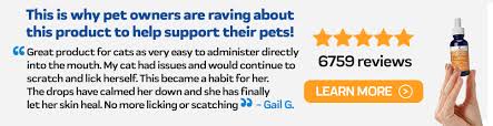 Maybe you would like to learn more about one of these? Benadryl For Cats How Much And How Often Innovet Pet
