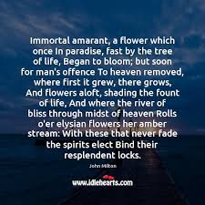 I love you more than summer sunset and winter snow. Flowers Quotes With Images Page 4 Idlehearts