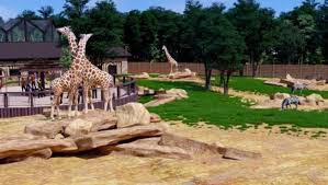 Харківський зоопарк, заснований в 1895 році, належить до числа найстаріших зоопарків європи. Vhod V Harkovskij Zoopark Dlya Posetitelej Stanet Besplatnym Eto Stanet Vozmozhnym Posle Zaversheniya Stroitelnyh Rabot Cherez Dva Goda