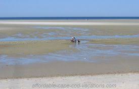 Cape Cod Tide Chart Printable Online Tide Tables