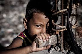 Ed Haynes Photography