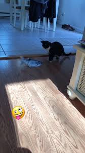 Tammy Gately (@tlgnh)