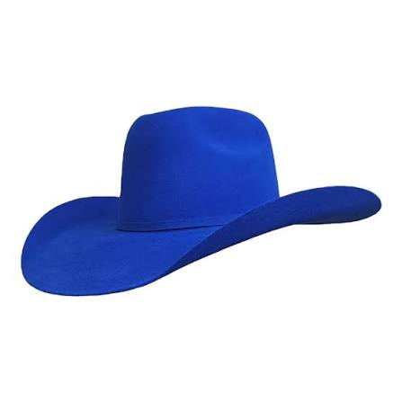 Gone Country American Royal Blue - Wool Cashmere Cowboy Hat – Russell's  Western Wear, Inc.