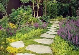 If you love outdoor plants, garden flowers and flower plants, plant flower bulbs to add some beauty, flair and cut flowers in your future. Ground Cover Plants Everything You Need To Know This Old House