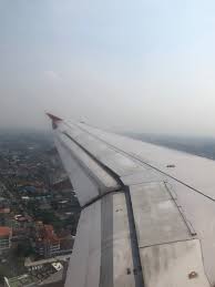 Dari ladang bunga matahari tu kami teruskan perjalanan ke lopburi monkey temple. Masih Ada Harapan Untuk Anda Melihat Bunga Matahari Lopburi Pada Pertengahan Januari Ini Caranya Lifestyle Rojak Daily