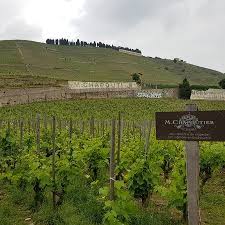 Chapoutier Tasting Room Picture Of M Chapoutier Tain L Hermitage Tripadvisor