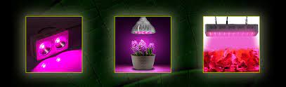 With the high reflective lens fitted and multiple leds inside, the lushpro cob led covers a larger area with even light output. Aussies Indoor Led Grow Specialist Led Grow Light Shop Australia