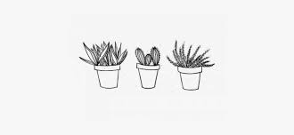 Cactus Drawing Yellow Tumblr Background Aesthetic Png Image Transparent Png Free Download On Seekpng Are you looking for cute aesthetic design images templates psd or png vectors files? yellow tumblr background aesthetic png