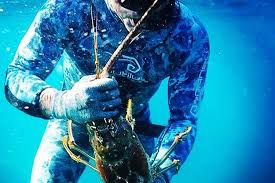 Miami is well known for its beaches, yachts, and people living the high life. Nautilus Spearfishing Florida S Best Freediving Gear