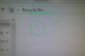 If you live in an area with high humidity, spray it once in the morning and once at night. Dead Bug Inside My Monitor Troubleshooting Linus Tech Tips