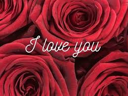 A timely snow promises a good harvest. Happy Valentines Day 2021 Wishes Messages Images Status How To Say I Love You In 16 Different Languages