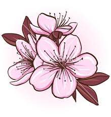 Cherry Blossom Vector Art Download Vectors 1323787 Cherry Blossom Vector Cherry Blossom Drawing Flower Drawing