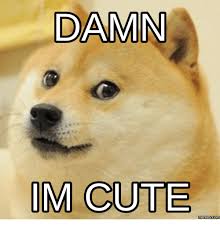 Damn Im Cute Memes Com Memes Com Meme On Me Me