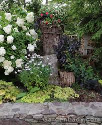 Image result for Cleome elegantissima