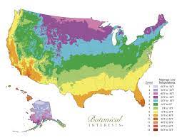 Gardeners.com has been visited by 10k+ users in the past month Usda Hardiness Zones Articles Blogs Botanical Interests