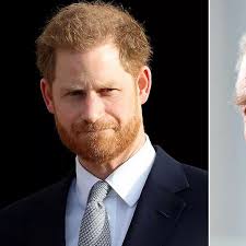 Prince Harry's telling gesture hints how King Charles meeting in UK went