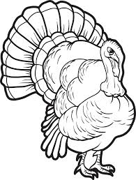 Thanksgiving is not only a national holiday celebrated in the us and canada but also a popular subject for children's coloring pages. Printable Turkey Coloring Page For Kids 13 Supplyme