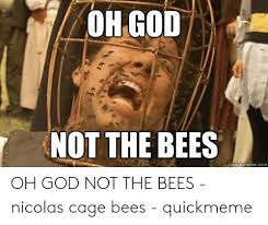 All orders are custom made and most ship worldwide within 24 hours. Oh God Not The Bees Kmemecom Oh God Not The Bees Nicolas Cage Bees Quickmeme God Meme On Me Me