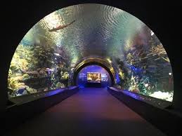 New York Zoos Aquarium Events Catering Ny Aquarium Areas In 2020 New York Zoo Bat Mitzvah Aquarium
