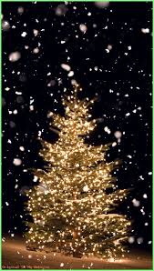 Iphone Wallpaper Aesthetic Wallpaper Iphone Holidays Winter Christmas Tree Christmas Phone Wallpaper Christmas Tree Wallpaper Christmas Phone Backgrounds