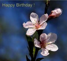 Any sister of any age will be very delighted and touched by pleasant birthday wishes. Happy Birthday To My Dear Friend Posts Facebook