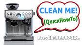 Remove the filter and empty the grounds. Super Easy Clean Me Breville Barista Express Bes 870 Youtube