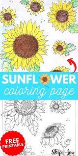 40+ sunflower coloring pages for adults for printing and coloring. Sunflower Coloring Page Skip To My Lou