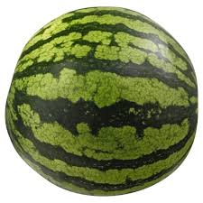 How long does whole watermelon last. Seedless Watermelon Each Target
