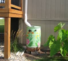 Rain Barrel System Proves Easy Effective The Spokesman Review